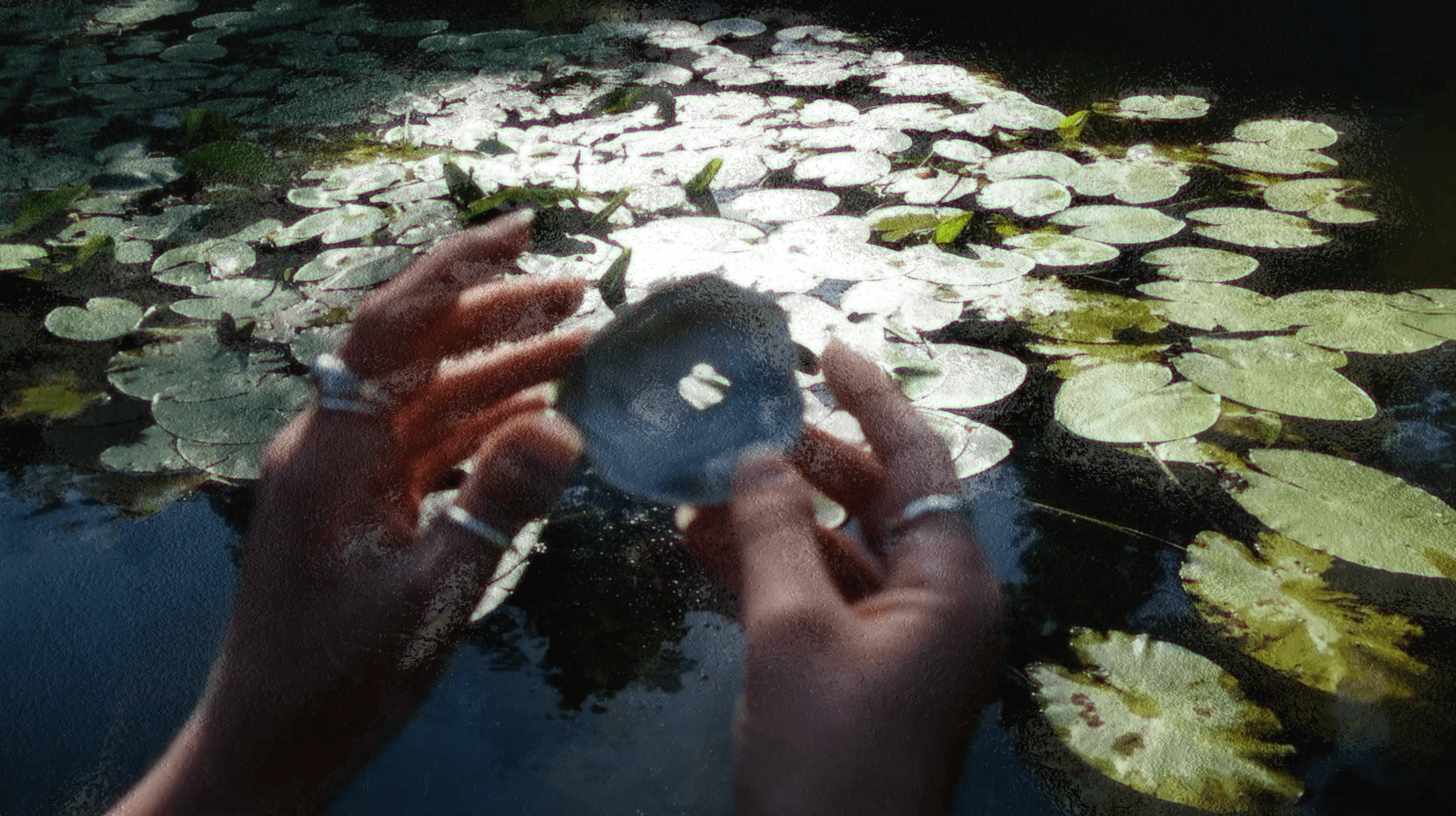 An image without an alt, whoops