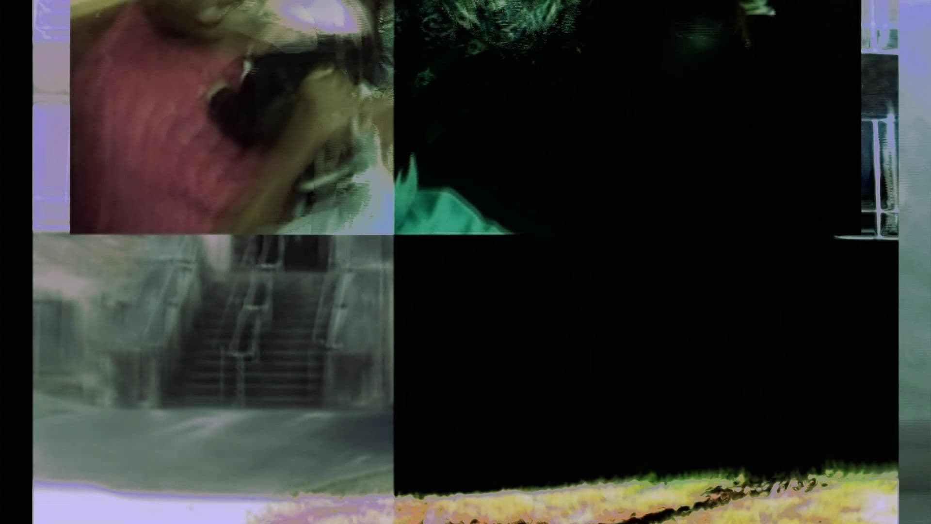 An image without an alt, whoops