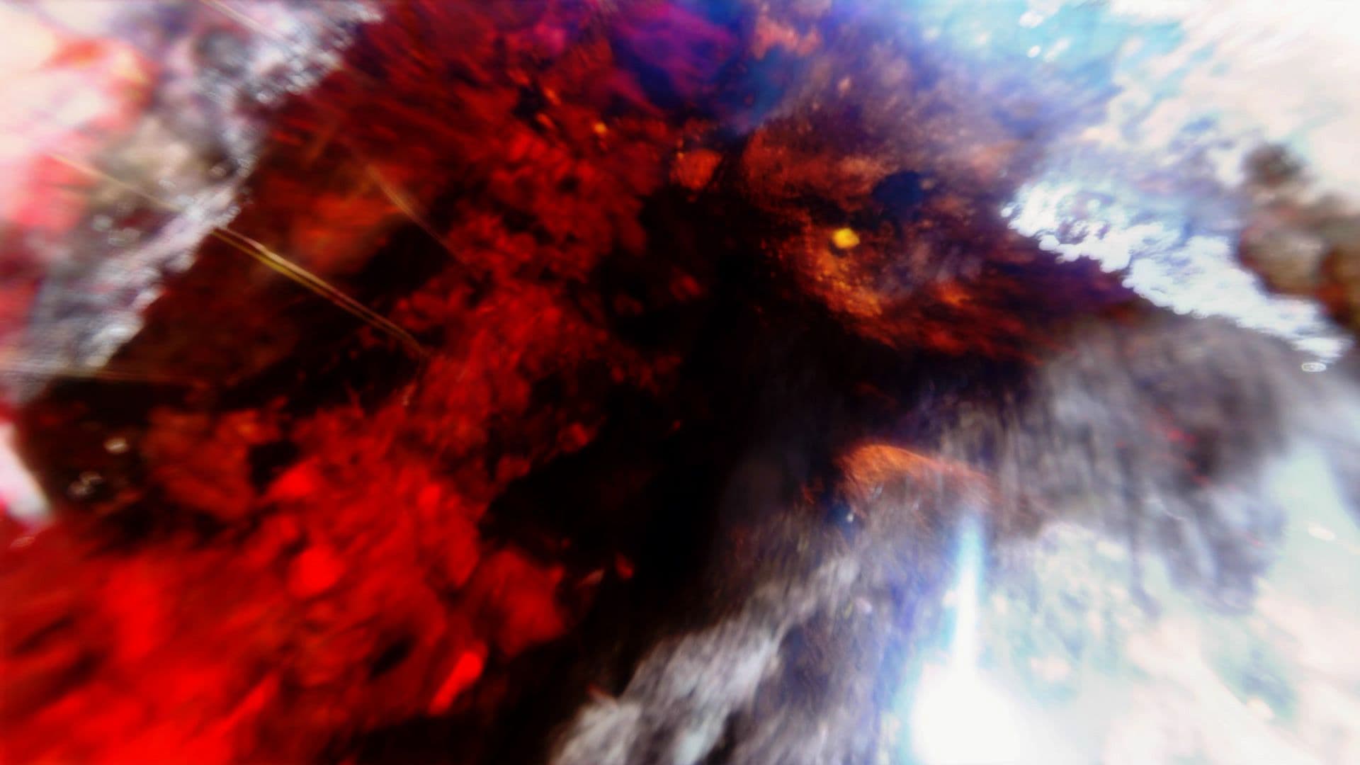 An image without an alt, whoops